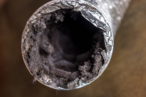 Best Local Air Duct Cleaning Services  in Lynnwood, WA